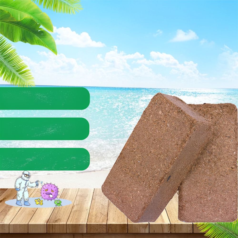 Premium Dehydrated Coconut Coi - Substrate Coconut Fiber ulasan dan harga