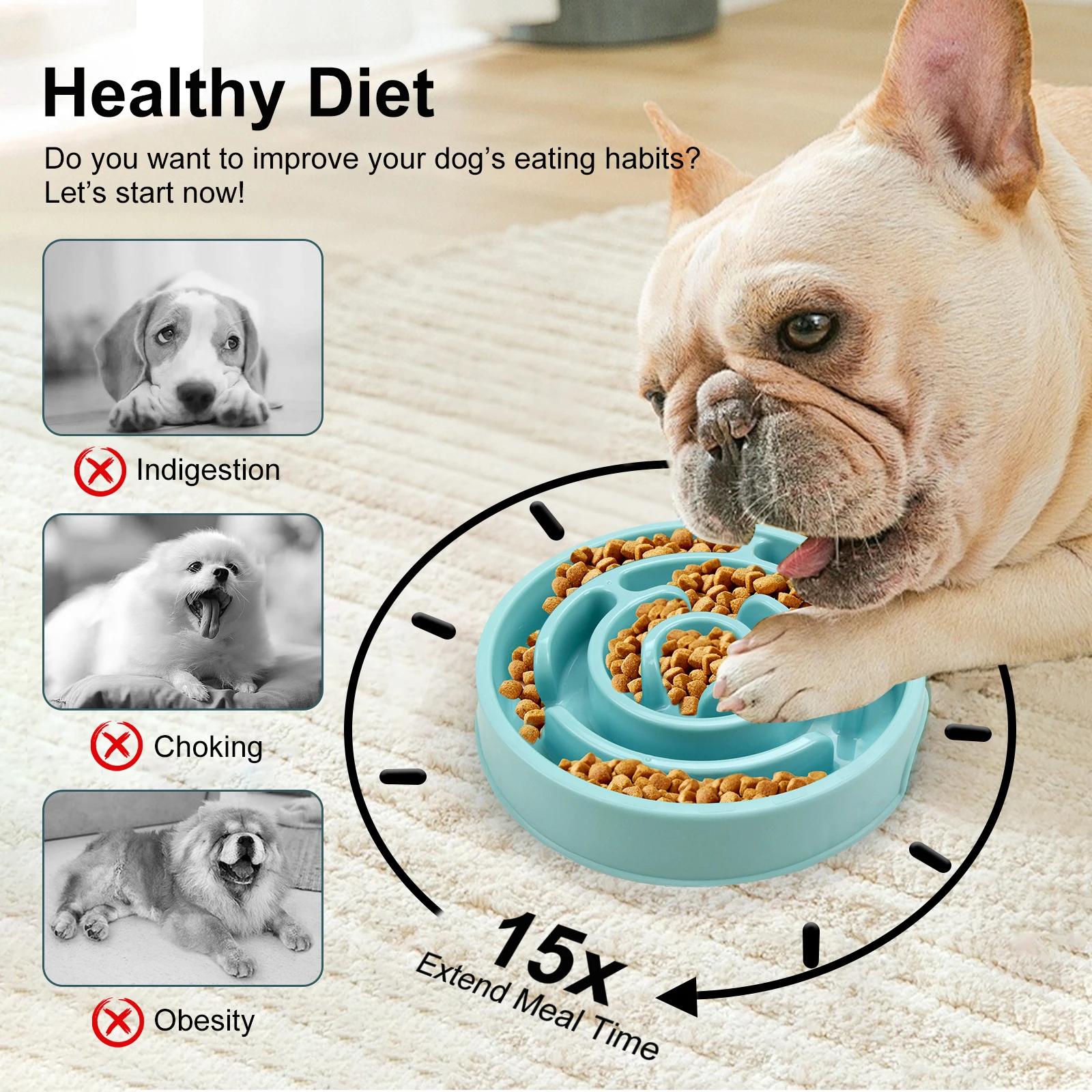 Pet Dog Slow Feeder Bowl Fun N - Royal Canin Food Medium ulasan dan harga